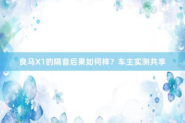 良马X1的隔音后果如何样？车主实测共享